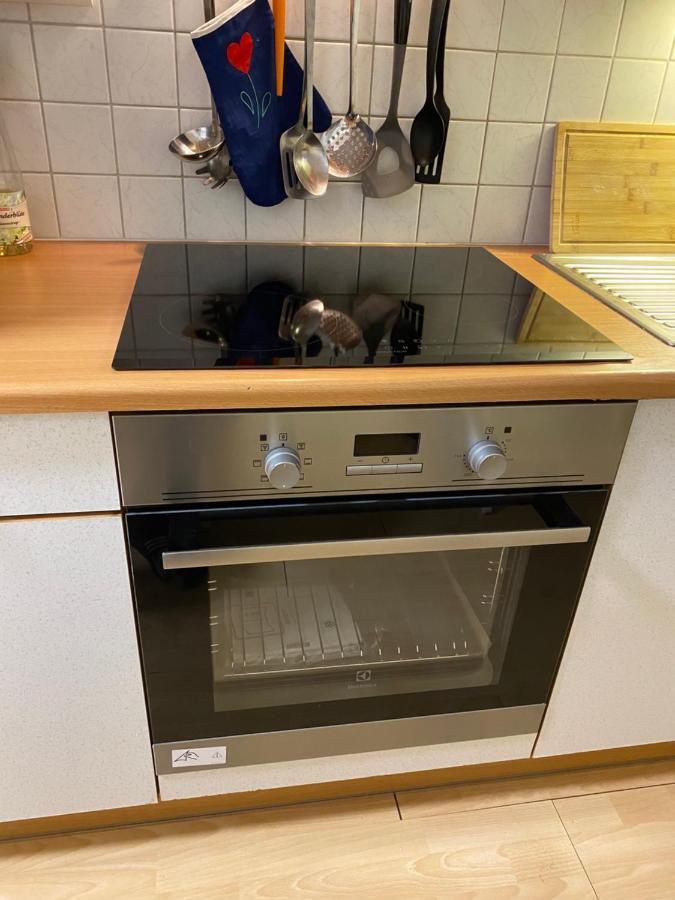 Dachsteinblick Apartment รัมเซา อัม ดาคชไตน์ ภายนอก รูปภาพ